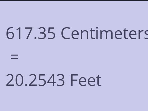 617.35 CM TO FEET