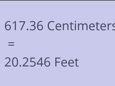 617.36 CM TO FEET