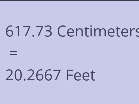 617.73 CM TO FEET