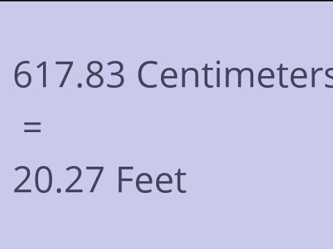 617.83 CM TO FEET