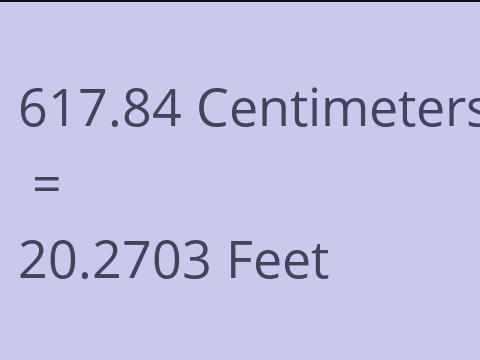 617.84 CM TO FEET