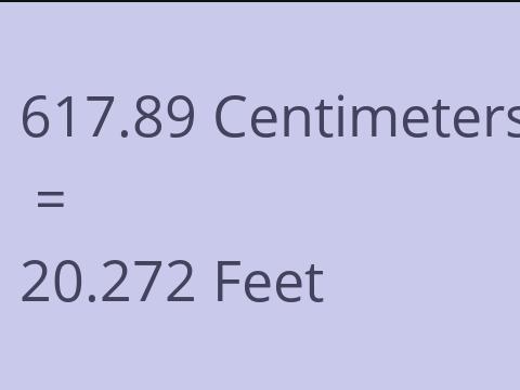 617.89 CM TO FEET