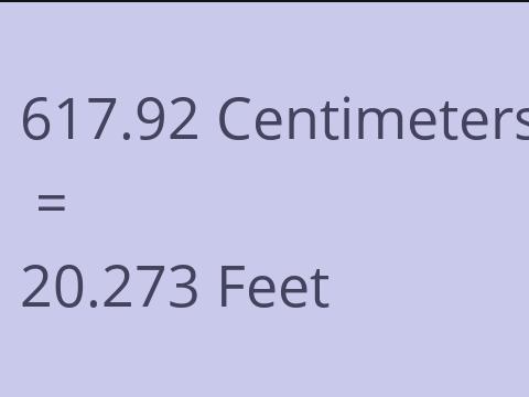 617.92 CM TO FEET