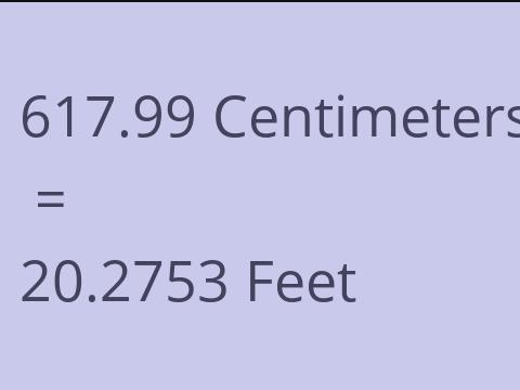 617.99 CM TO FEET