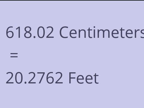 618.02 CM TO FEET