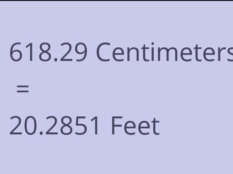 618.29 CM TO FEET