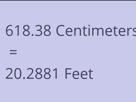 618.38 CM TO FEET