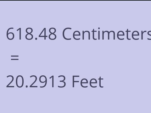 618.48 CM TO FEET