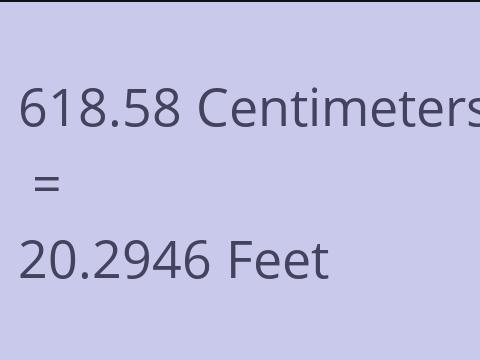 618.58 CM TO FEET