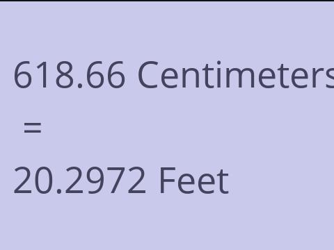 618.66 CM TO FEET