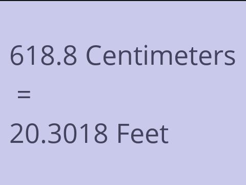 618.8 CM TO FEET