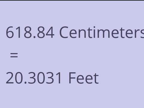 618.84 CM TO FEET