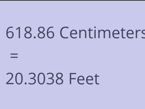 618.86 CM TO FEET