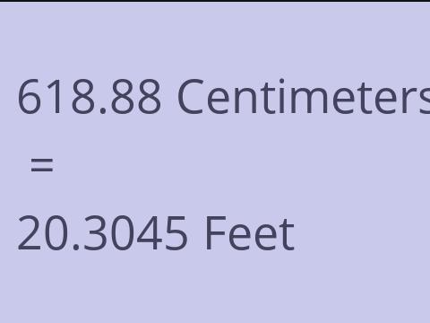 618.88 CM TO FEET