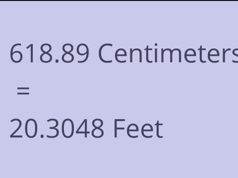 618.89 CM TO FEET