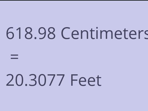 618.98 CM TO FEET