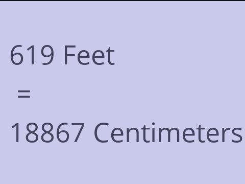 619 FEET TO CM