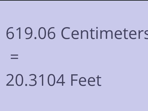 619.06 CM TO FEET