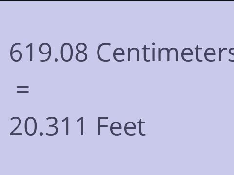 619.08 CM TO FEET