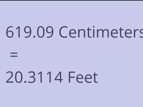 619.09 CM TO FEET