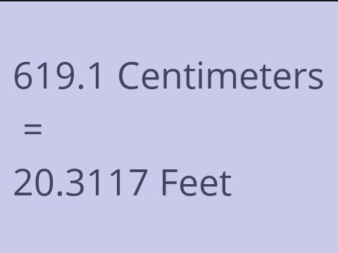 619.1 CM TO FEET