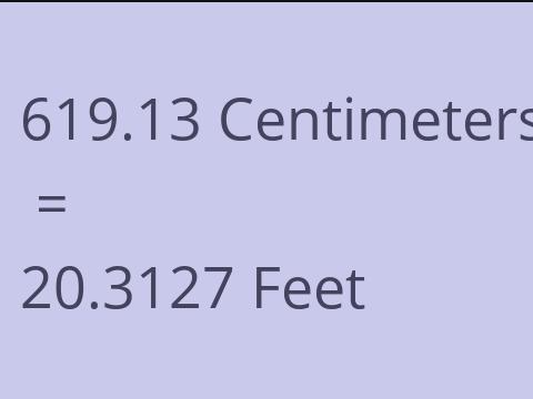 619.13 CM TO FEET