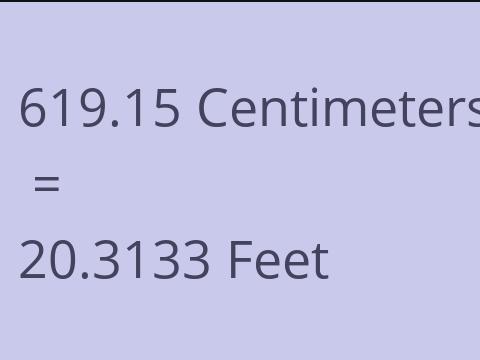 619.15 CM TO FEET