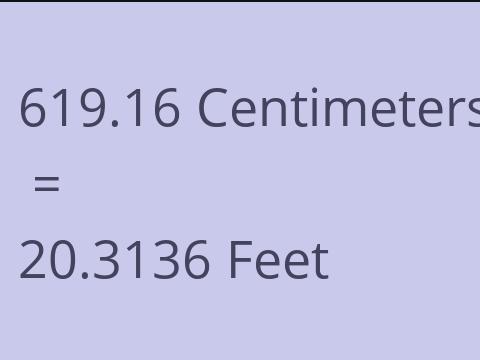 619.16 CM TO FEET