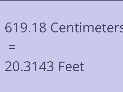 619.18 CM TO FEET