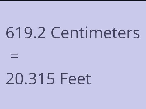 619.2 CM TO FEET