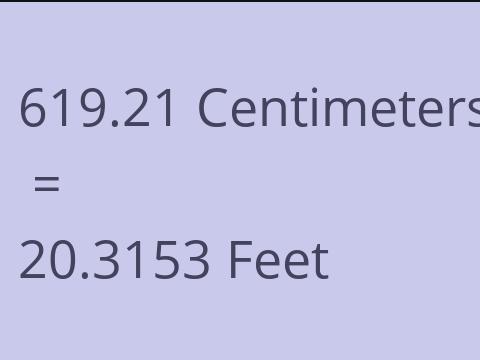 619.21 CM TO FEET