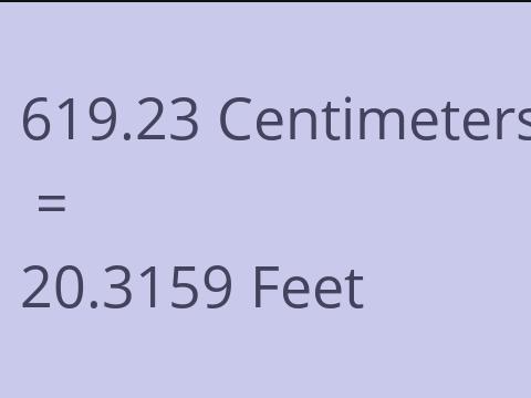 619.23 CM TO FEET