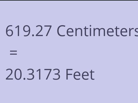 619.27 CM TO FEET