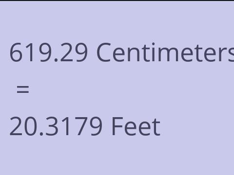 619.29 CM TO FEET