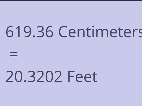 619.36 CM TO FEET