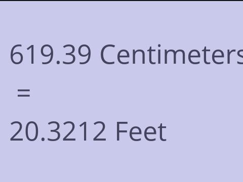 619.39 CM TO FEET