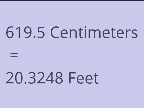 619.5 CM TO FEET