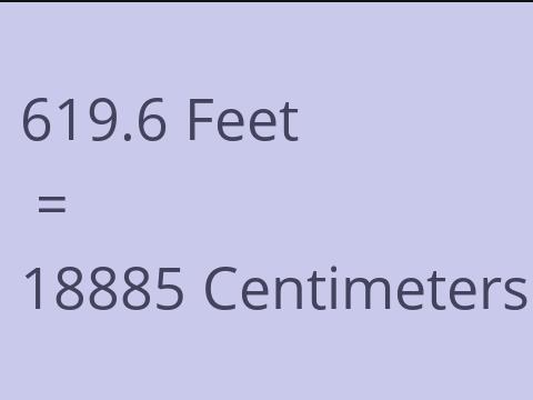 619.6 FEET TO CM