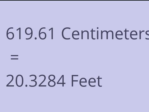 619.61 CM TO FEET