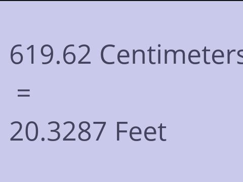 619.62 CM TO FEET