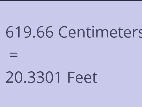 619.66 CM TO FEET