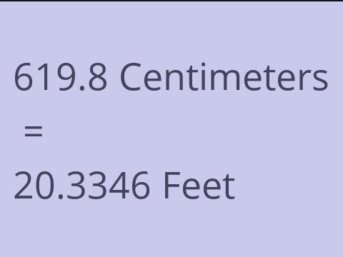 619.8 CM TO FEET