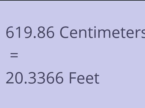 619.86 CM TO FEET