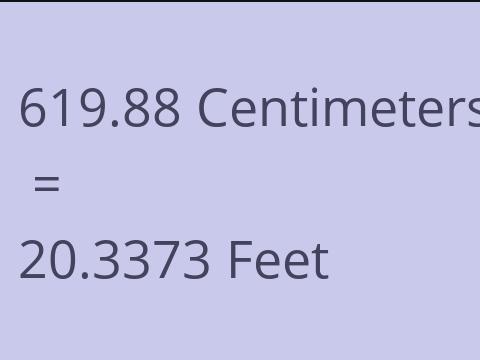 619.88 CM TO FEET