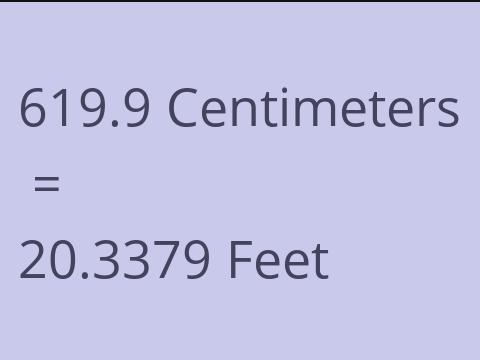 619.9 CM TO FEET