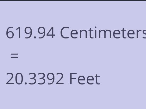 619.94 CM TO FEET