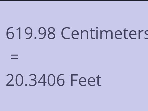 619.98 CM TO FEET