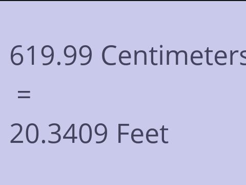 619.99 CM TO FEET