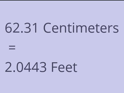 62.31 CM TO FEET