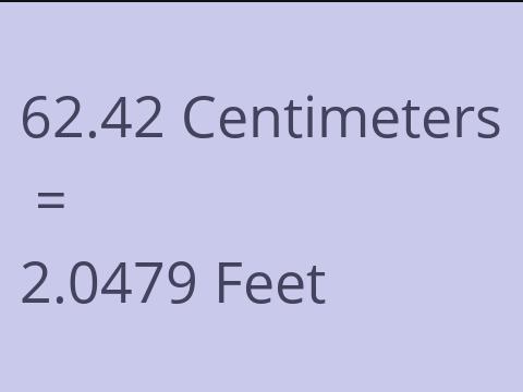 62.42 CM TO FEET